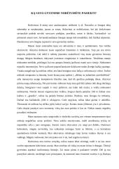 Savianalizė: ką savo gyvenime norėtumėte pasiekti? 2 puslapis