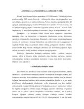 Biodegalų gamyba: atsiradimo priežastys ir pasekmės 4 puslapis