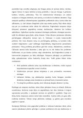 Straipsnio anotacija: identiteto vieta akultūracijos procese 2 puslapis