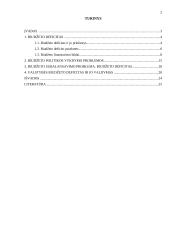 Biudžeto deficito priežastys, finansavimo būdai ir pasekmės 2 puslapis