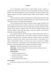 Biudžeto deficito priežastys, finansavimo būdai ir pasekmės 3 puslapis