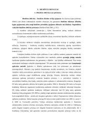 Biudžeto deficito priežastys, finansavimo būdai ir pasekmės 4 puslapis