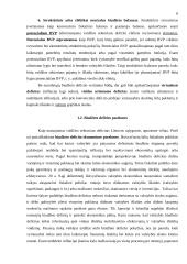 Biudžeto deficito priežastys, finansavimo būdai ir pasekmės 6 puslapis