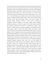 Tradicinių ir šiuolaikinių vestuvių palyginimas 7 puslapis