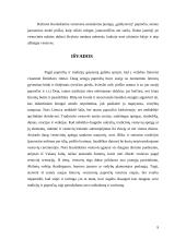 Tradicinių ir šiuolaikinių vestuvių palyginimas 8 puslapis