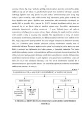 Buhalterinė apskaita ir apskaitininkai 14 puslapis