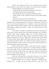 Buhalterinė apskaita ir apskaitininkai 4 puslapis