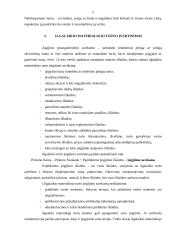 Buhalterinė apskaita ir apskaitininkai 5 puslapis