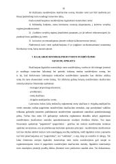 Buhalterinė apskaita ir apskaitininkai 10 puslapis