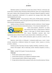 Buhalterinė apskaita: UAB "Raginta" 2 puslapis