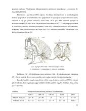 Bulvių kaupimo – purškimo agregatas 11 puslapis