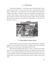 Bulvių kaupimo – purškimo agregatas 18 puslapis