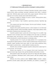 Bulvių kaupimo – purškimo agregatas 20 puslapis