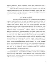 Bulvių kaupimo – purškimo agregatas 9 puslapis