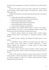 Karjeros planavimo sistemų lyginamoji analizė 11 puslapis