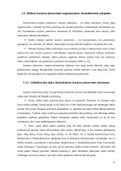 Karjeros planavimo sistemų lyginamoji analizė 12 puslapis