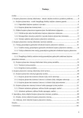 Karjeros planavimo sistemų lyginamoji analizė 4 puslapis