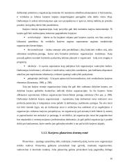 Karjeros planavimo sistemų lyginamoji analizė 10 puslapis