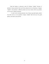 Business plan: company "Adatele" 12 puslapis