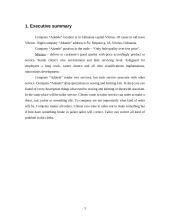 Business plan: company "Adatele" 3 puslapis