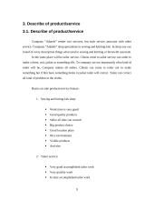 Business plan: company "Adatele" 9 puslapis