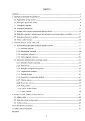 Mokyklos veiklos galimybių studija: Kasčiukiškių pagrindinė mokykla 3 puslapis