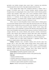 Mokyklos veiklos galimybių studija: Kasčiukiškių pagrindinė mokykla 5 puslapis