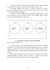 Mokyklos veiklos galimybių studija: Kasčiukiškių pagrindinė mokykla 10 puslapis
