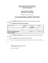 Būsto pirkimas imant paskolą, ir jo nuoma 2 puslapis