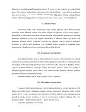 Būsto pirkimas imant paskolą, ir jo nuoma 12 puslapis