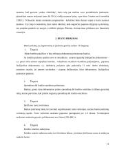 Būsto pirkimas imant paskolą, ir jo nuoma 14 puslapis