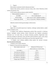 Būsto pirkimas imant paskolą, ir jo nuoma 15 puslapis