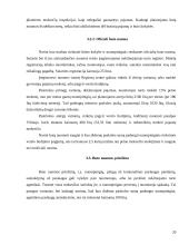 Būsto pirkimas imant paskolą, ir jo nuoma 20 puslapis