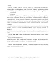 Nekilnojamojo turto (NT) šakos žinių sistemos kūrimas 8 puslapis