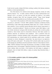 CIA ir KGB įtaka supervalstybių šaltojo karo užsienio politikai 11 puslapis