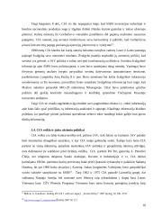 CIA ir KGB įtaka supervalstybių šaltojo karo užsienio politikai 16 puslapis