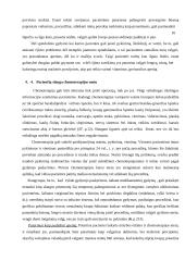 Pacienčių, sergančių krūties vėžiu, slaugymo ypatumai 12 puslapis