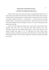 Pacienčių, sergančių krūties vėžiu, slaugymo ypatumai 4 puslapis