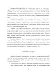 Dailės terapijos metodo reikšmė, dirbant su autizmu sergančiais vaikais 6 puslapis