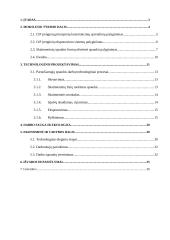 Paruošiamieji spaudos darbai 2 puslapis