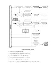Paruošiamieji spaudos darbai 12 puslapis