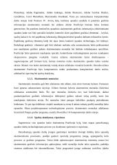 Paruošiamieji spaudos darbai 14 puslapis