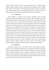 Paruošiamieji spaudos darbai 15 puslapis