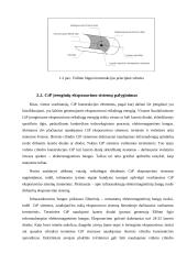 Paruošiamieji spaudos darbai 6 puslapis