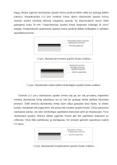 Paruošiamieji spaudos darbai 8 puslapis