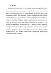 Paruošiamieji spaudos darbai 10 puslapis