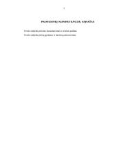 Paveldėjimo pagal testamentą problematika 2 puslapis