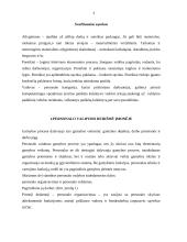 Darbo ištekliai ir jų vertinimas: UAB "Adelita" 3 puslapis