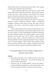 Darbo jėgos migracija 17 puslapis