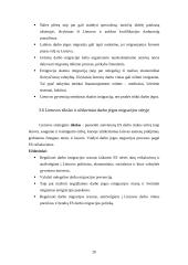 Darbo jėgos migracija 20 puslapis